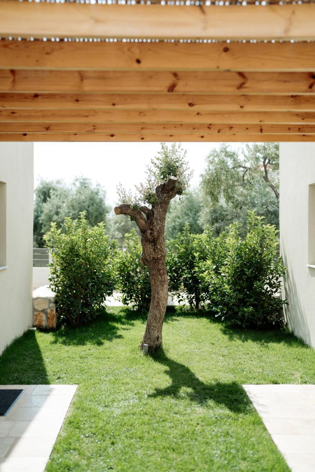 Magnolia Villas Potos Thassos Buitenkant foto
